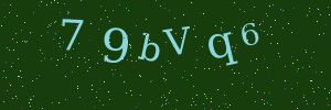 Validation image